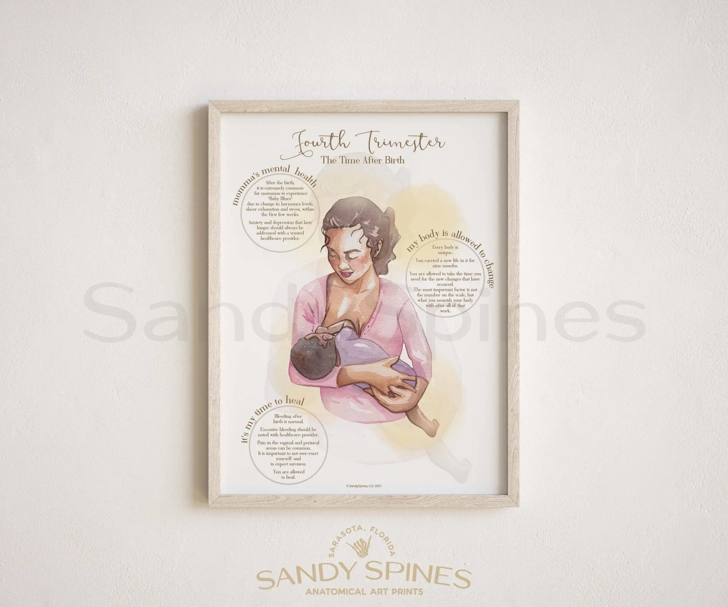 4th Trimester Poster | Pregnancy & Postpartum Care - SandySpines