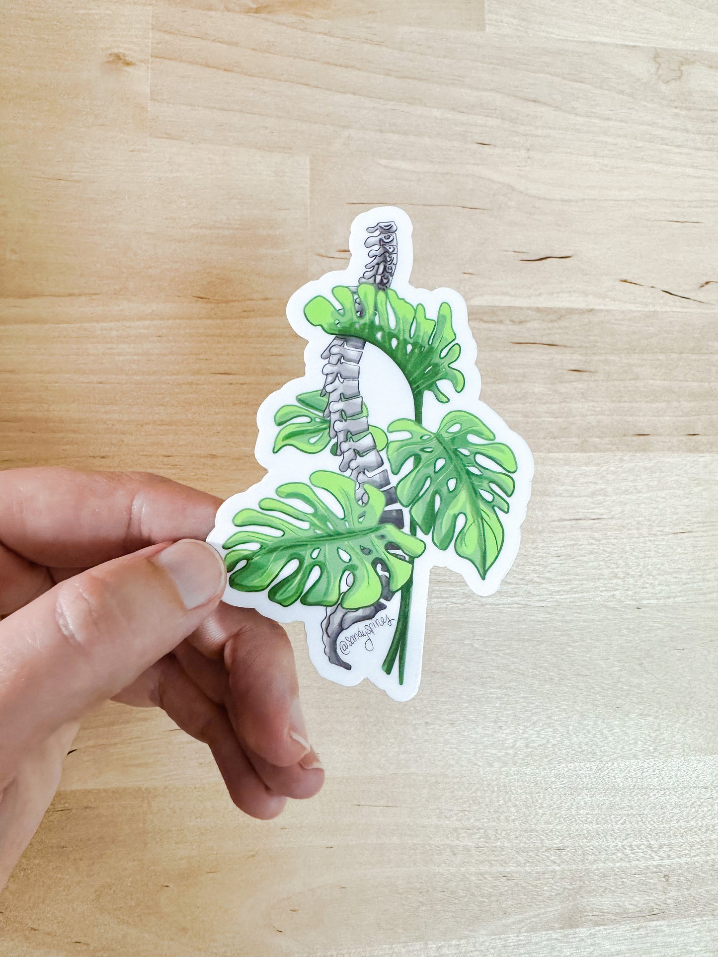 Monstera Spine Sticker