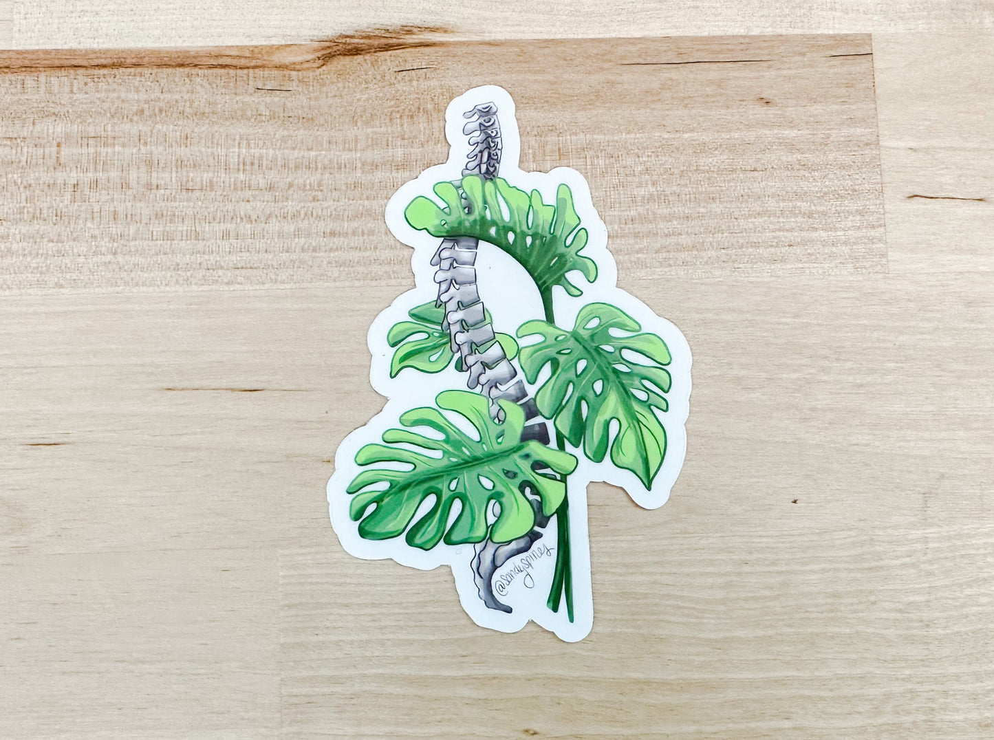 Monstera Spine Sticker