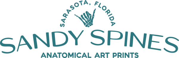 Sandy Spines Anatomical Art Prints Logo. Based in Sarasota, Florida in connection with her chiropractic business Well Co. Chiropractic.