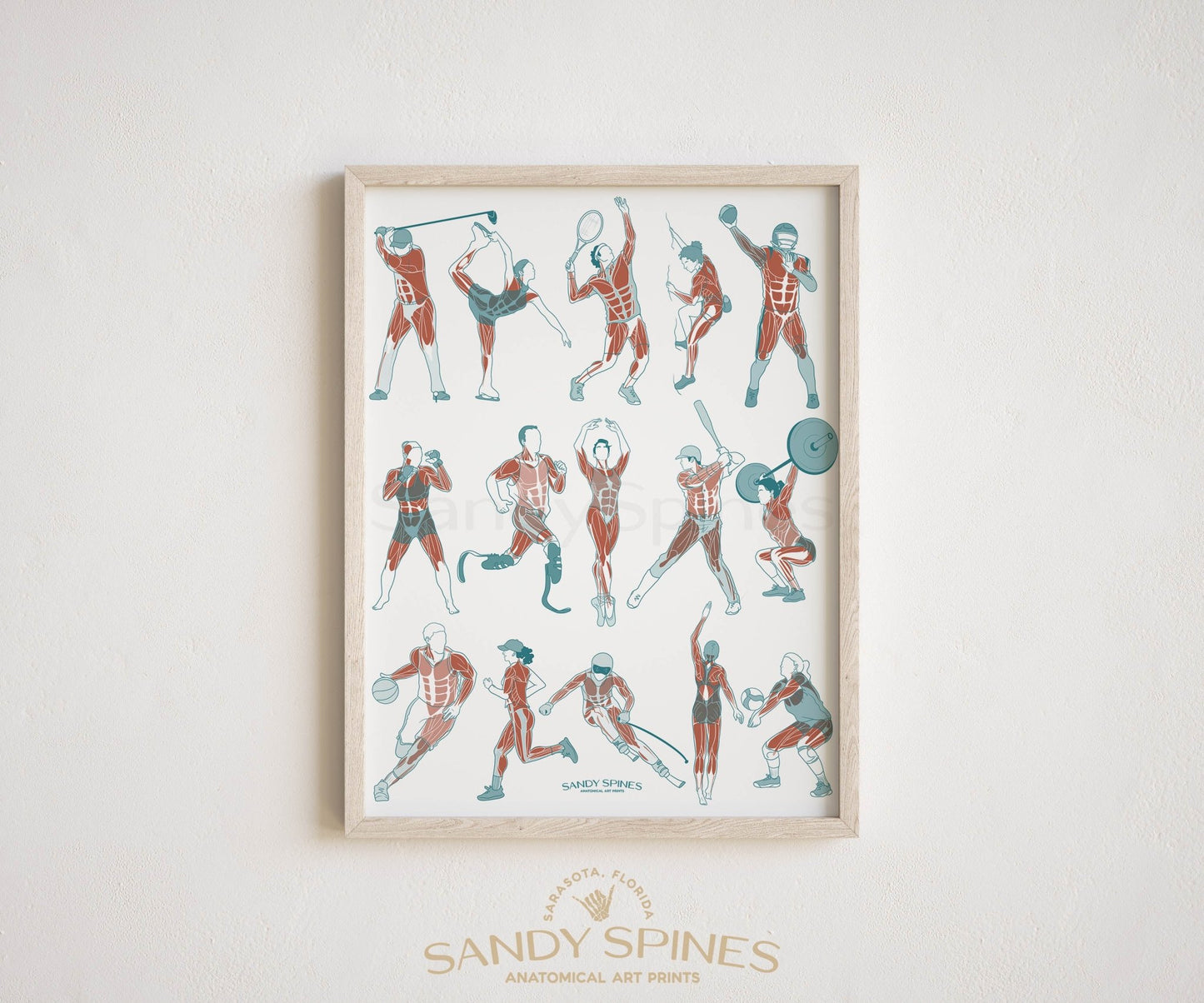 Athletics Anatomy Poster - SandySpines