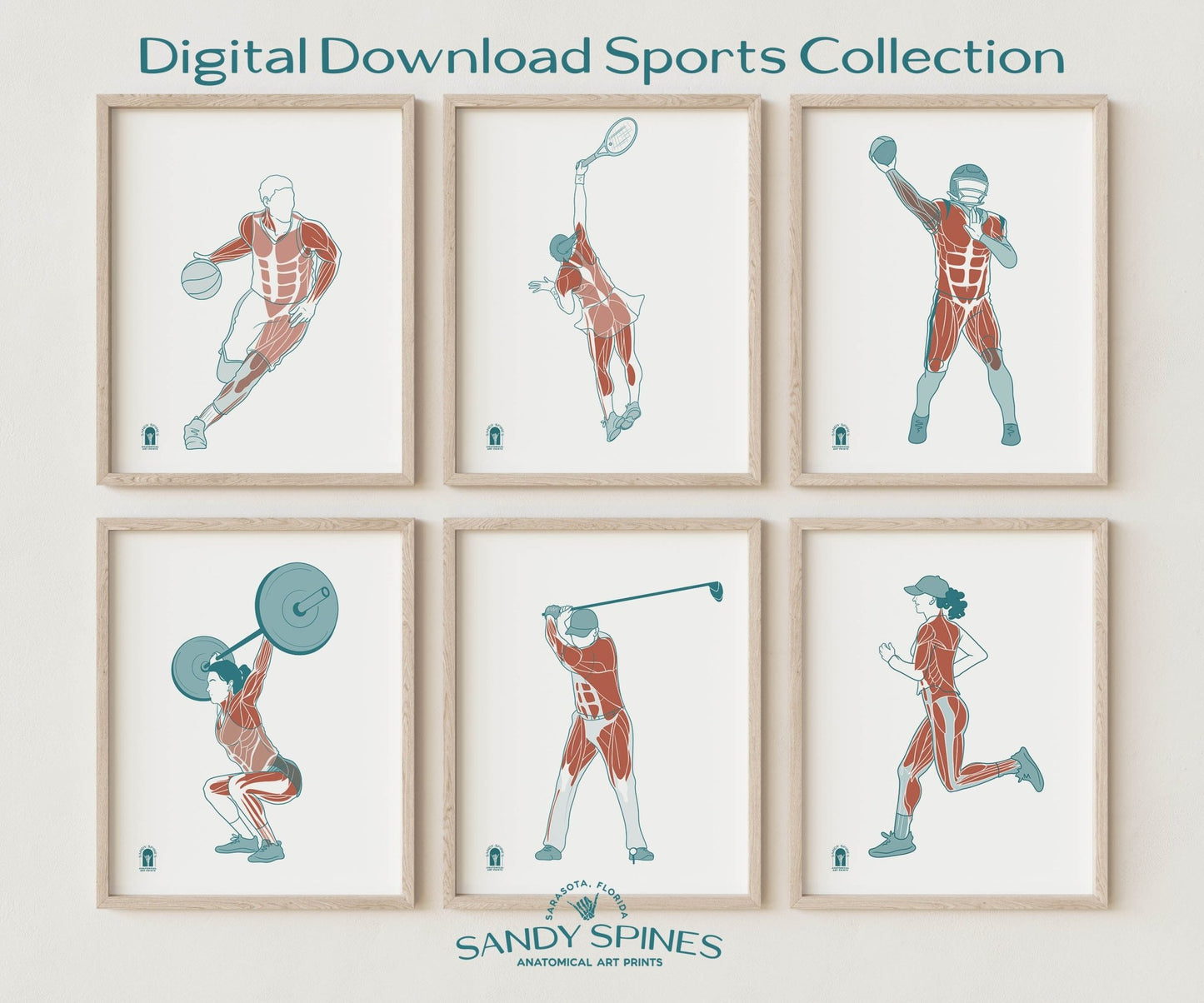 Fitness Anatomy Art Print – Female Lifter Sports Anatomy Download - SandySpines
