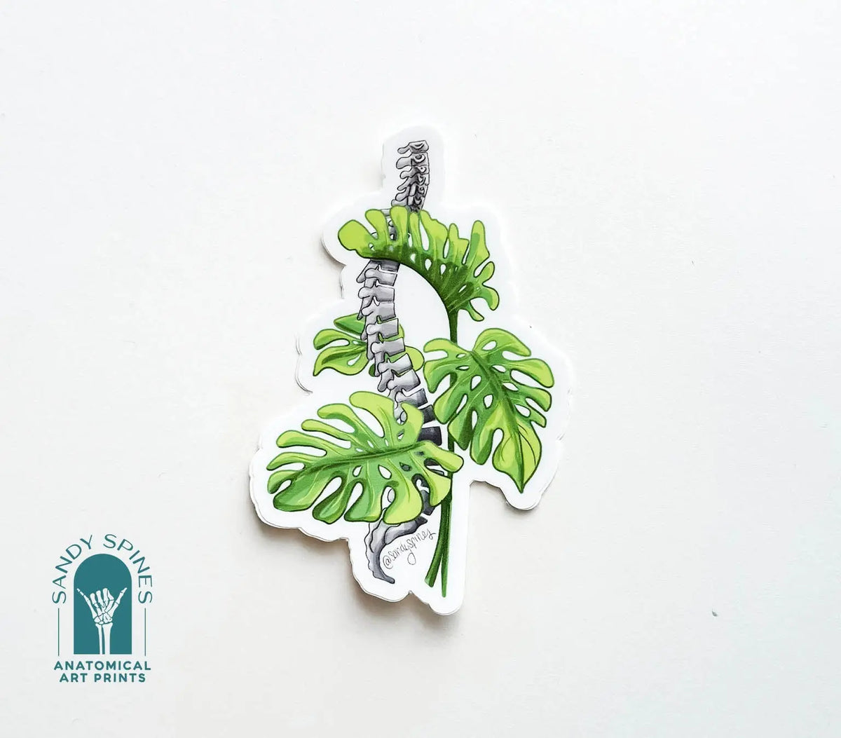 Monstera Spine Sticker - SandySpines