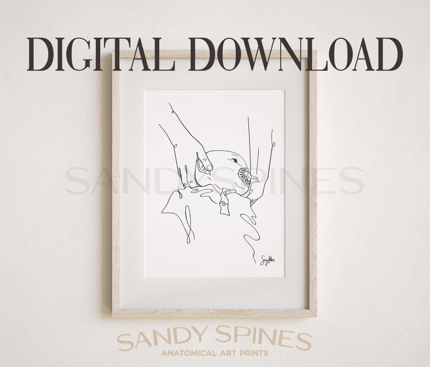 Pediatric Adjusting Line Art 2 | DIGITAL DOWNLOAD only - SandySpines
