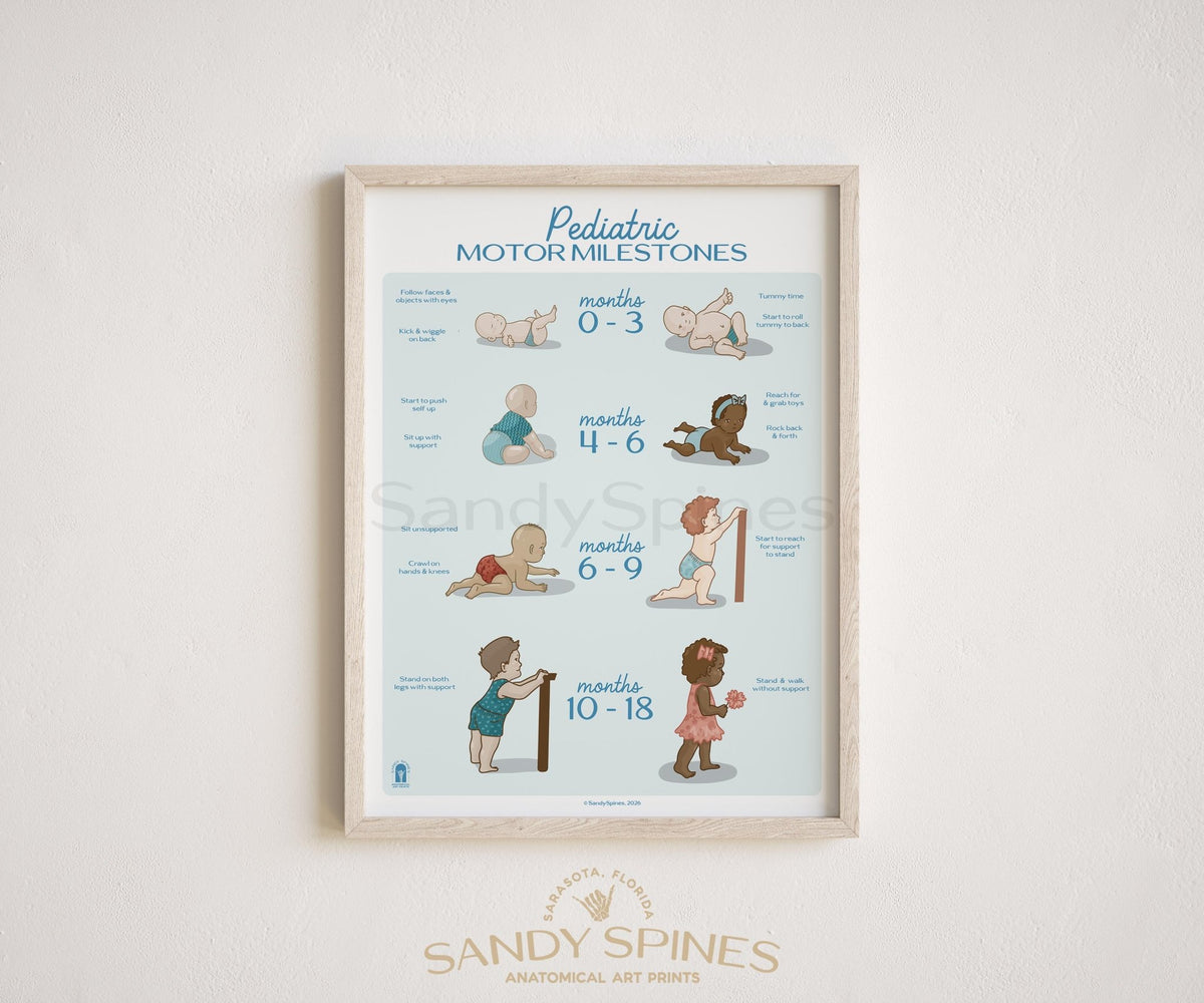 Pediatric Developmental Milestones Poster 2026 - SandySpines
