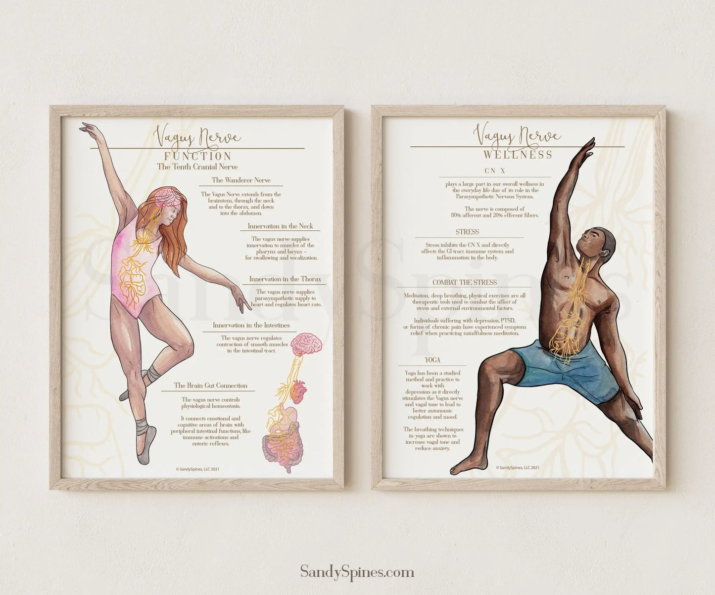 Vagus Nerve Posters Bundle | Function and Wellness - SandySpines