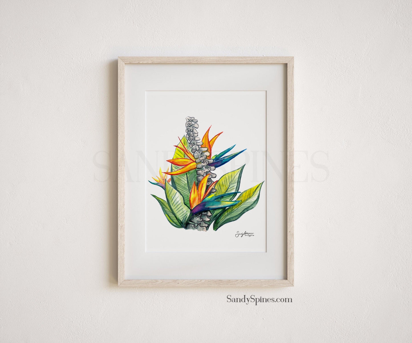 Bird of Paradise Spine Watercolor Print - SandySpines