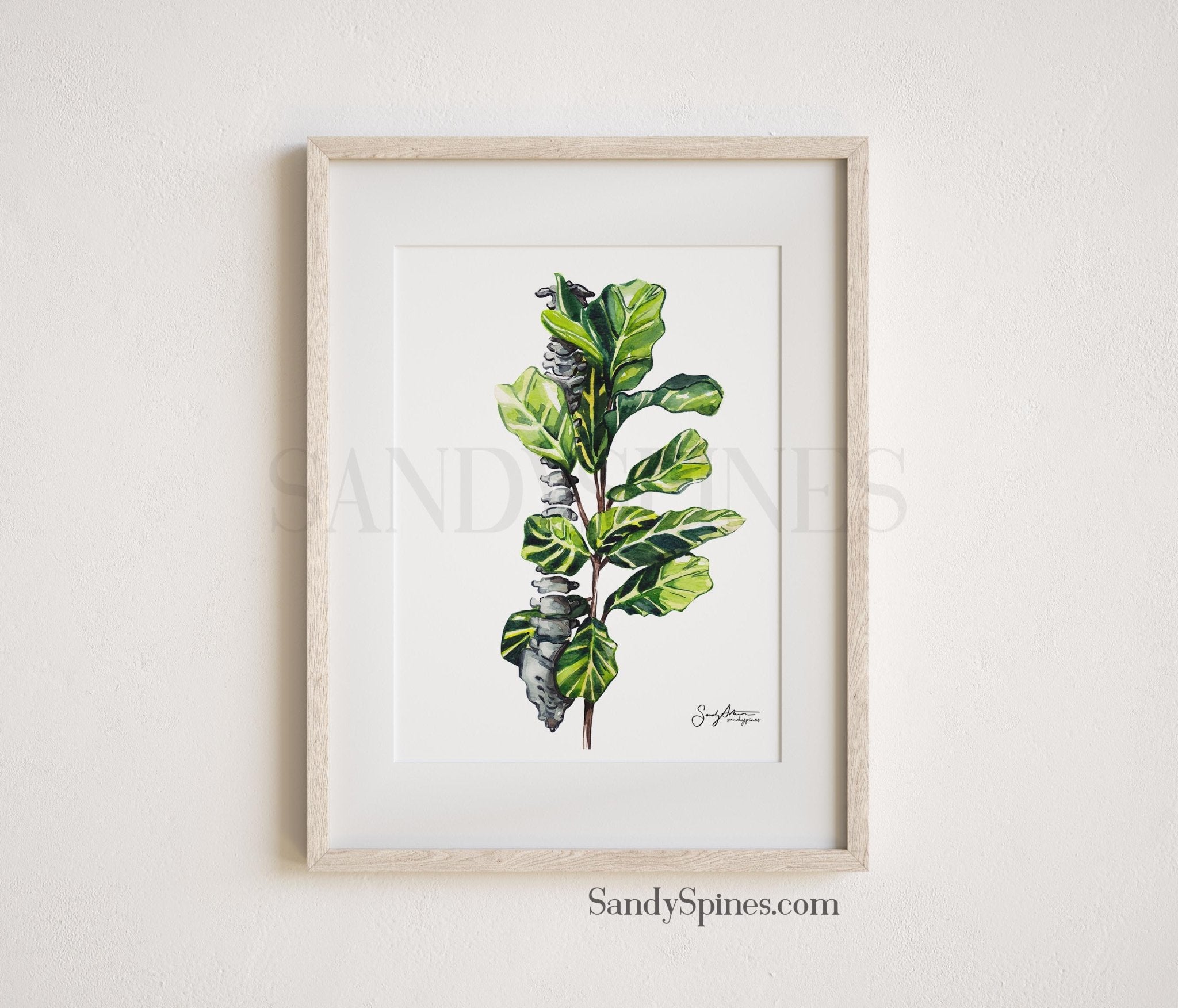 fiddle leaf fig print Fiddle Leaf Fig Spine Print by SandySpines