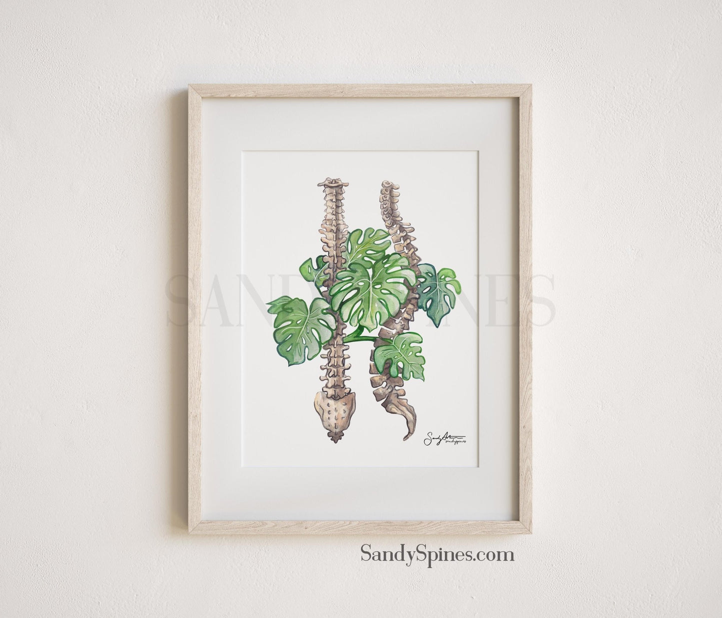 Monstera Spines II Watercolor Print - SandySpines