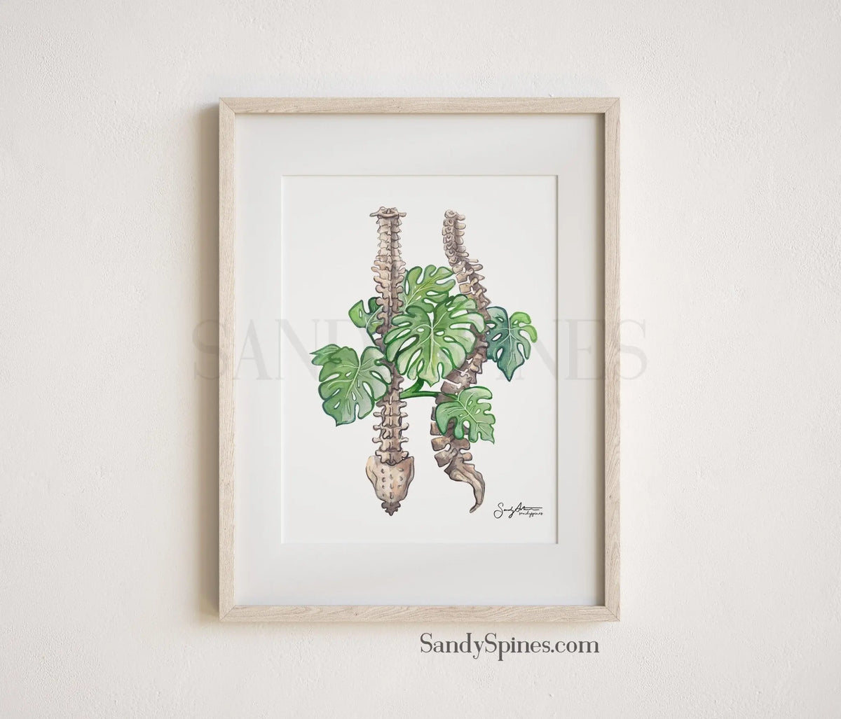 Monstera Spines II Watercolor Print - SandySpines