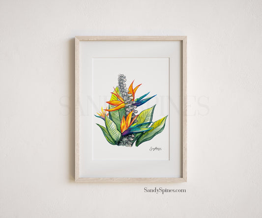 SandySpines | Original Artwork of a spinal column, hand drawn into a bird of paradise flower