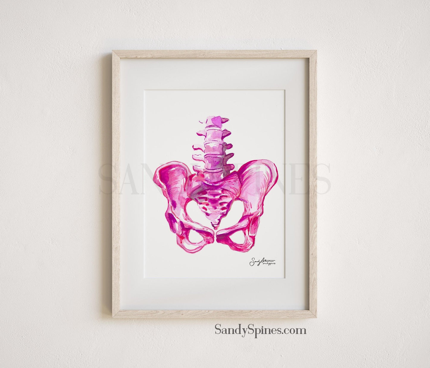 Pink Pelvis Print - SandySpines