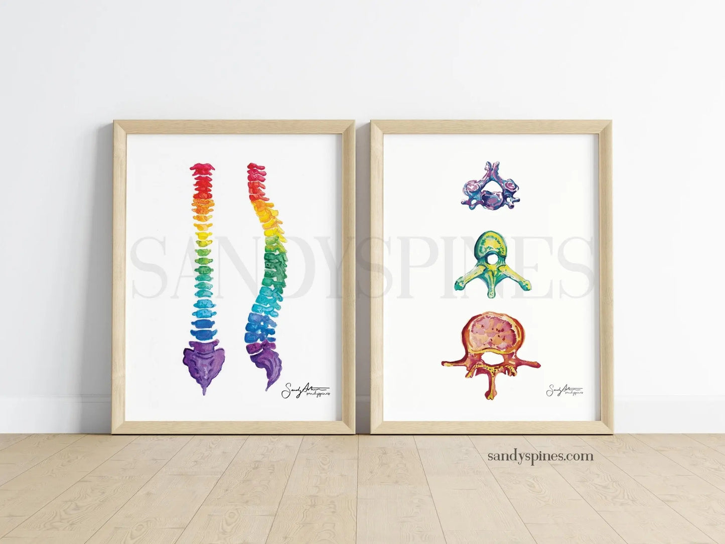 Rainbow Spines Print - SandySpines