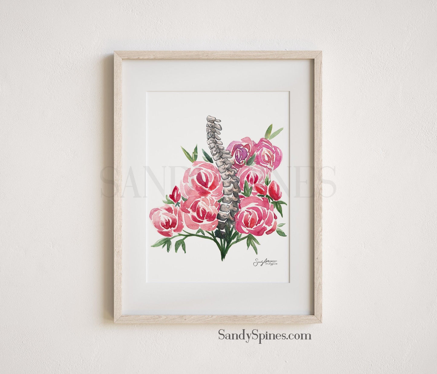 Spines and Roses - SandySpines