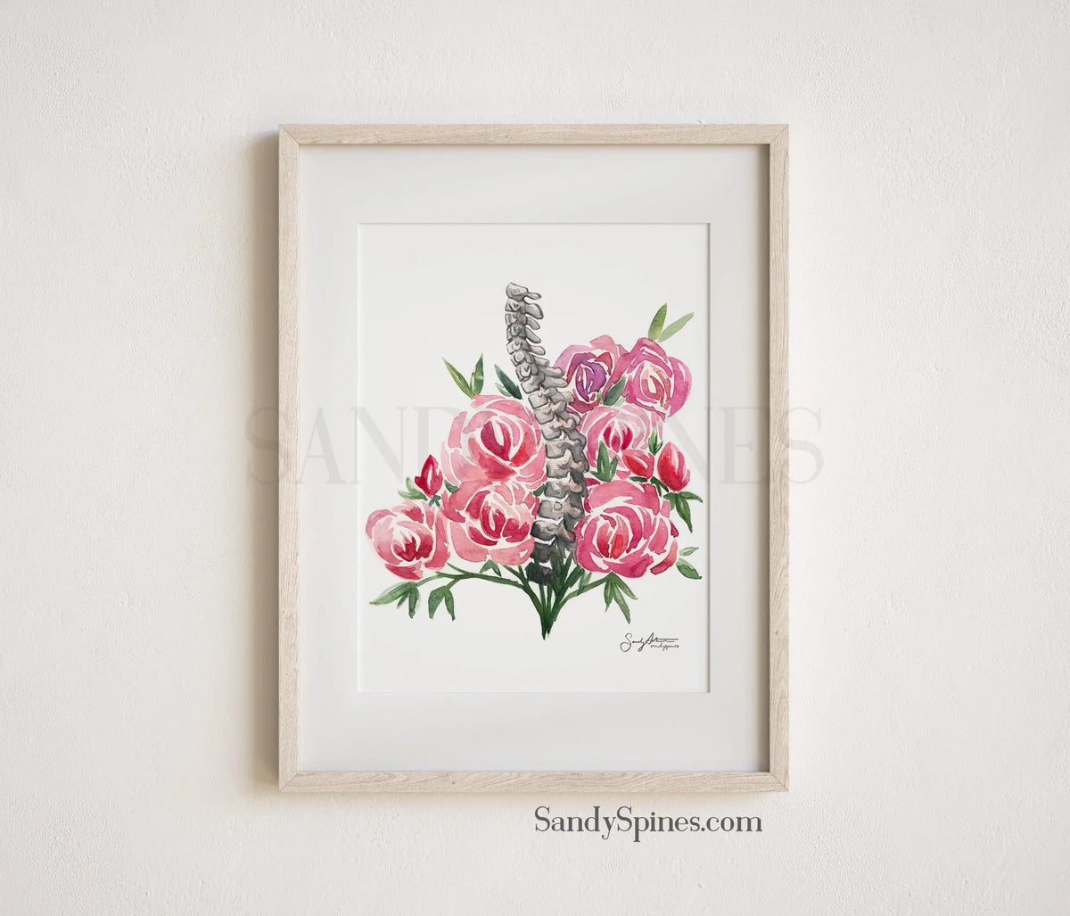 Spines and Roses - SandySpines