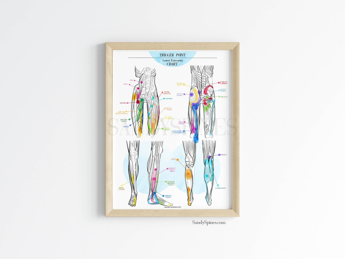 Trigger Point Charts | Lower Extremity - SandySpines