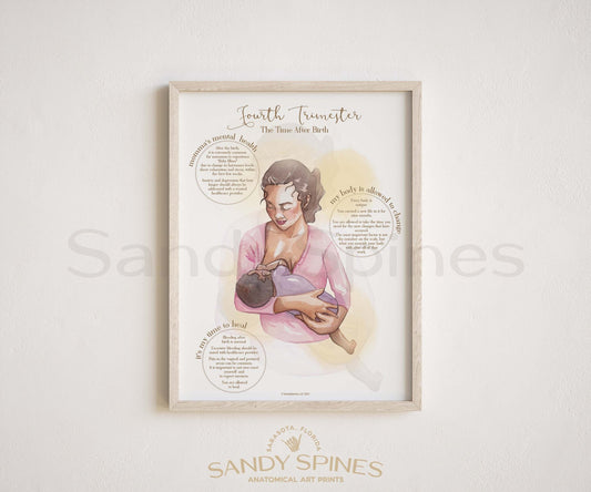 4th Trimester Poster | Pregnancy & Postpartum Care - SandySpines