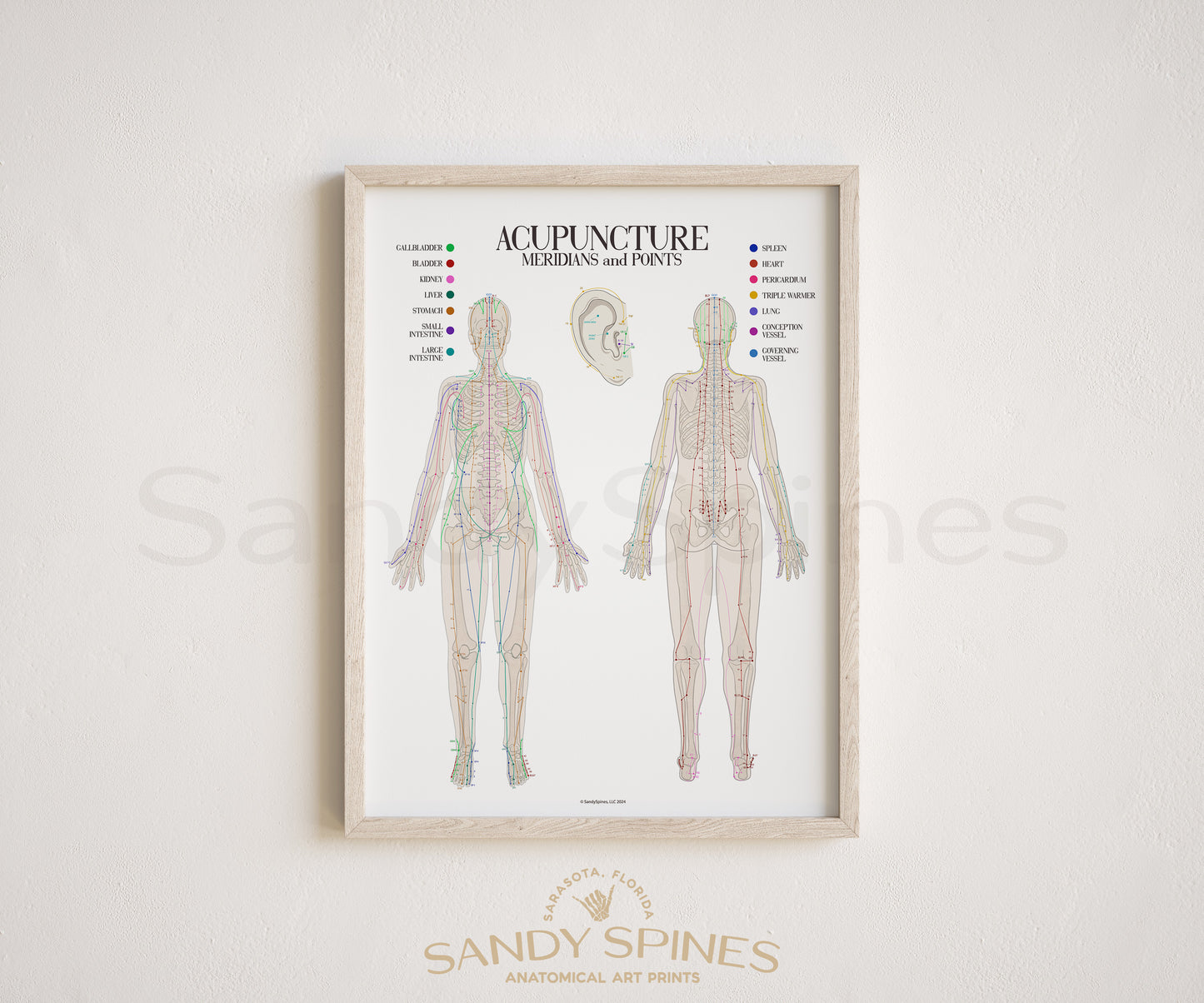 Acupuncture Chart I