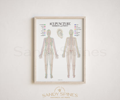 Acupuncture Chart I