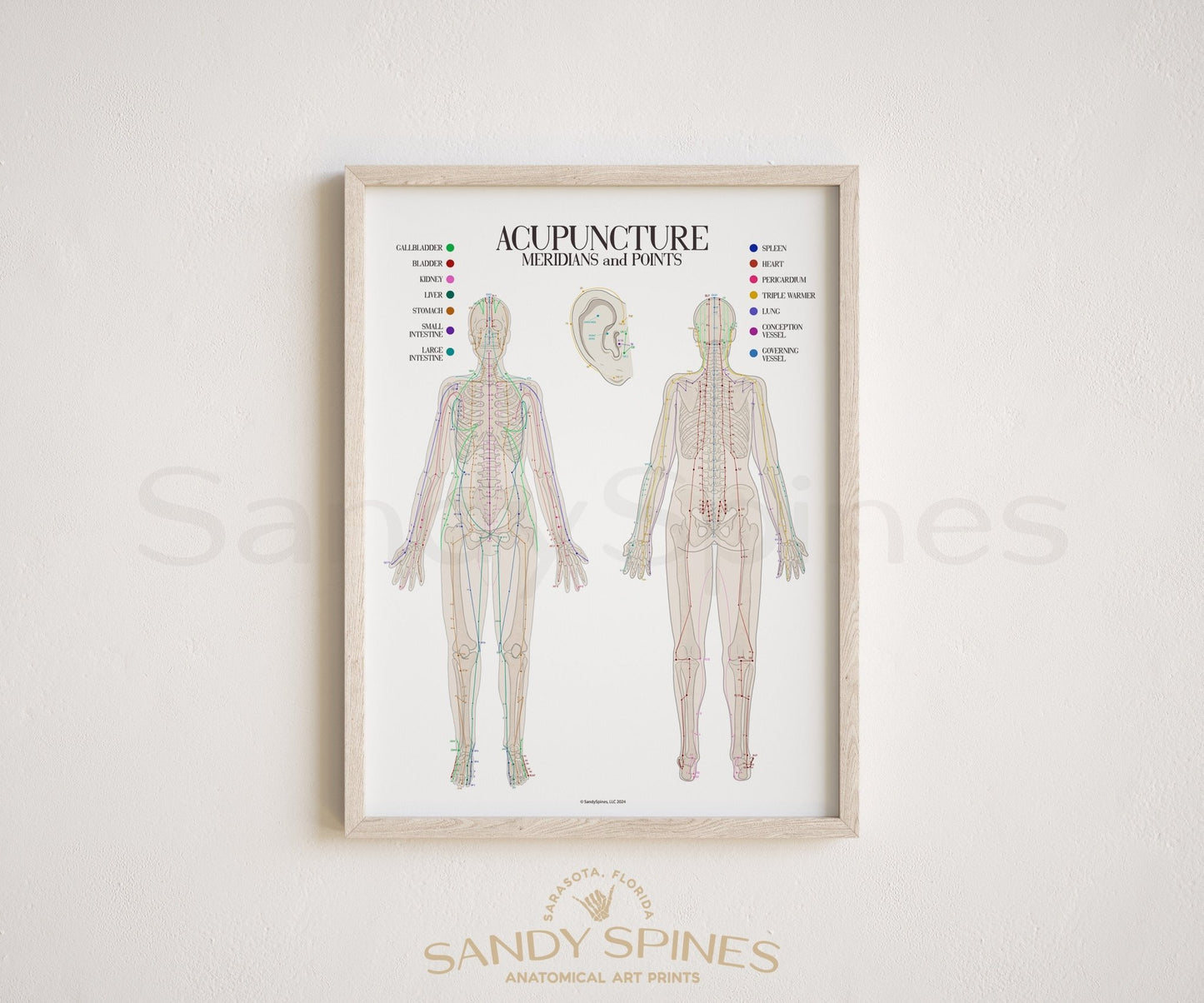 Acupuncture Chart I - SandySpines
