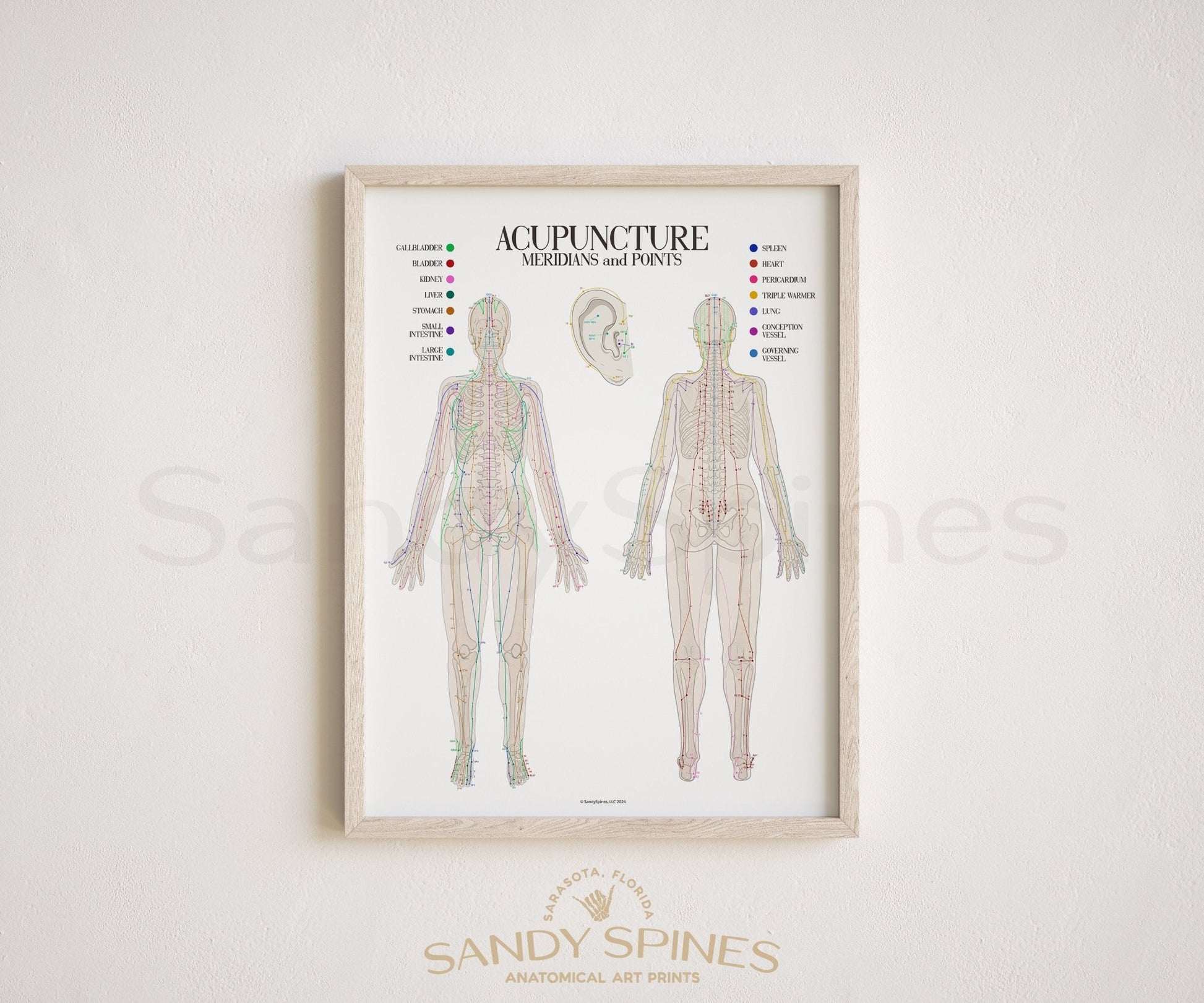 Acupuncture Chart I - SandySpines