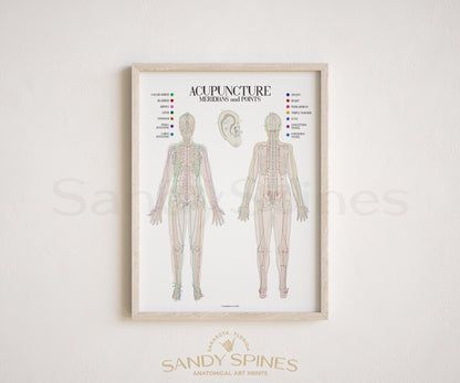 Acupuncture Chart I - SandySpines