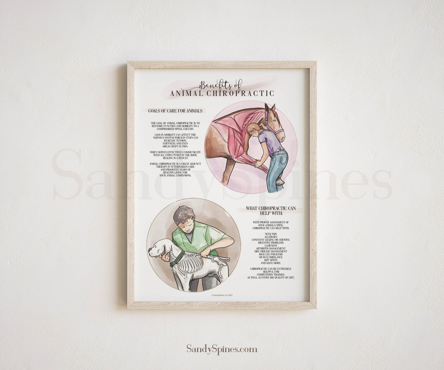Animal Chiropractic Benefits Poster | Dogs and Horses - SandySpines