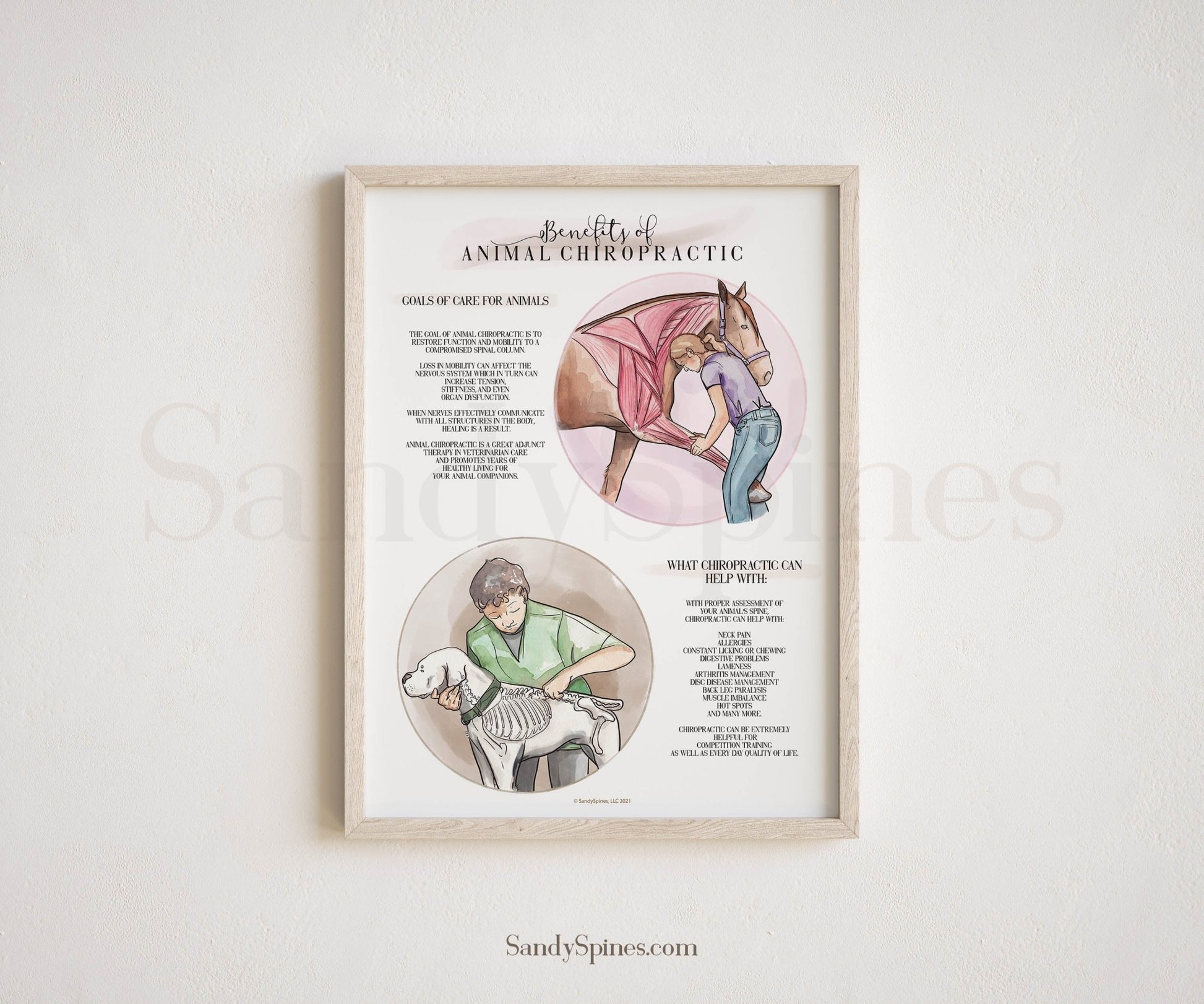 Animal Chiropractic Benefits Poster | Dogs and Horses - SandySpines
