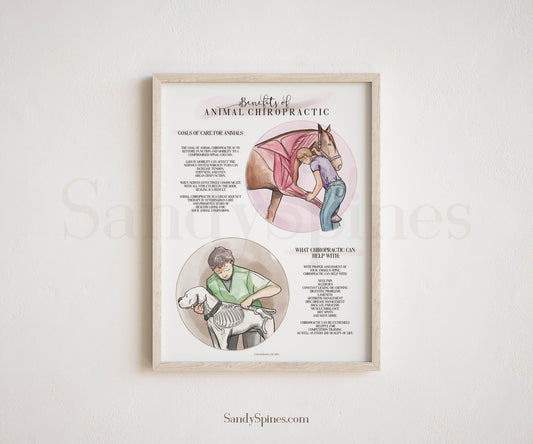 Animal Chiropractic Benefits Poster | Dogs and Horses - SandySpines