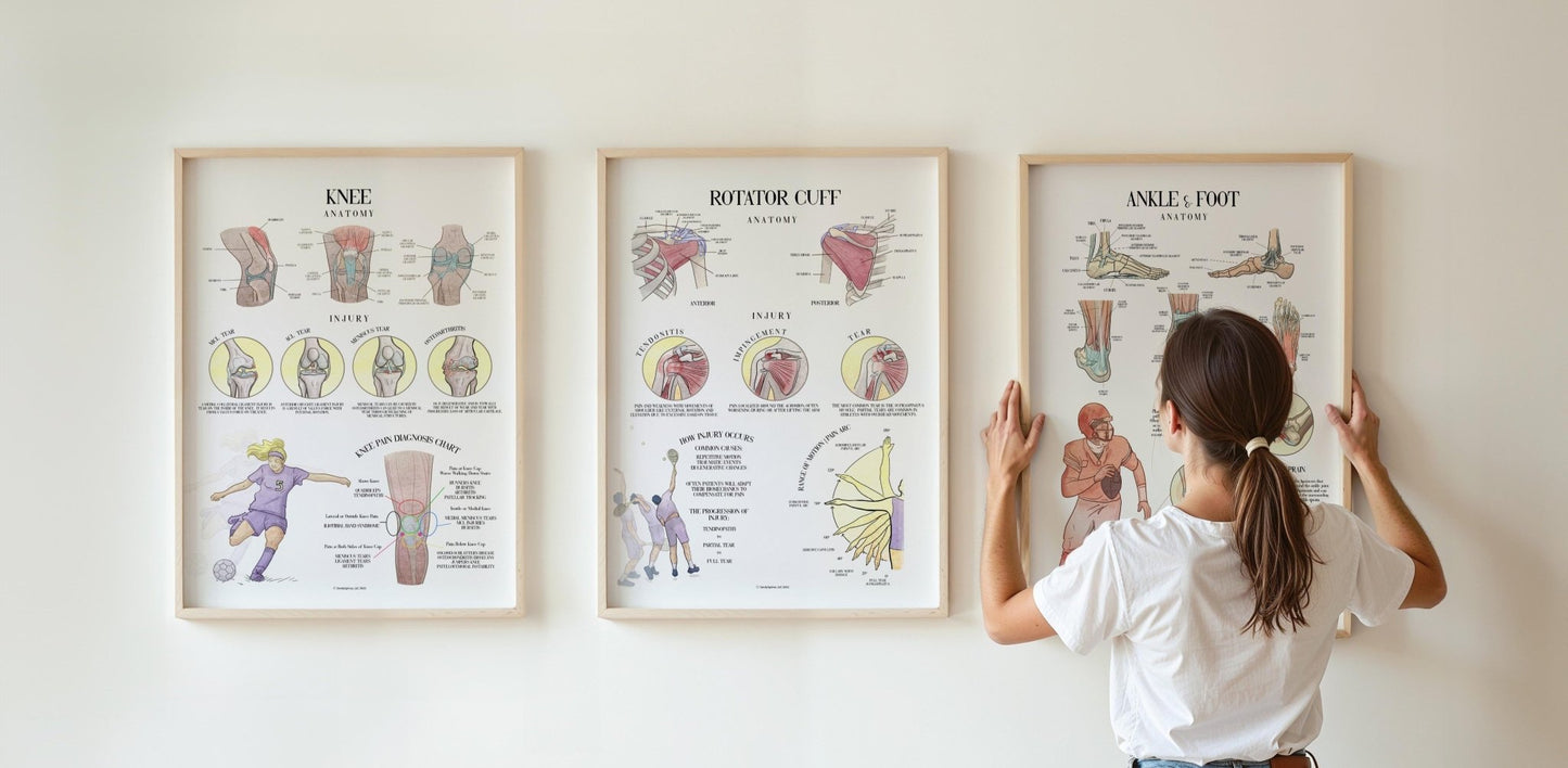 Ankle & Foot Injury Poster - SandySpines