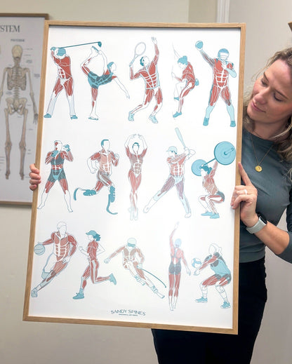 Athletics Anatomy Poster - SandySpines