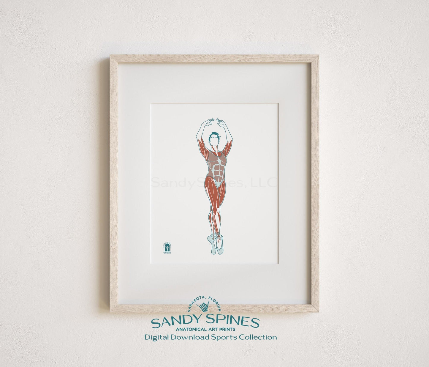 Ballet Anatomy Art Print – Female Ballerina Sports Anatomy Download - SandySpines