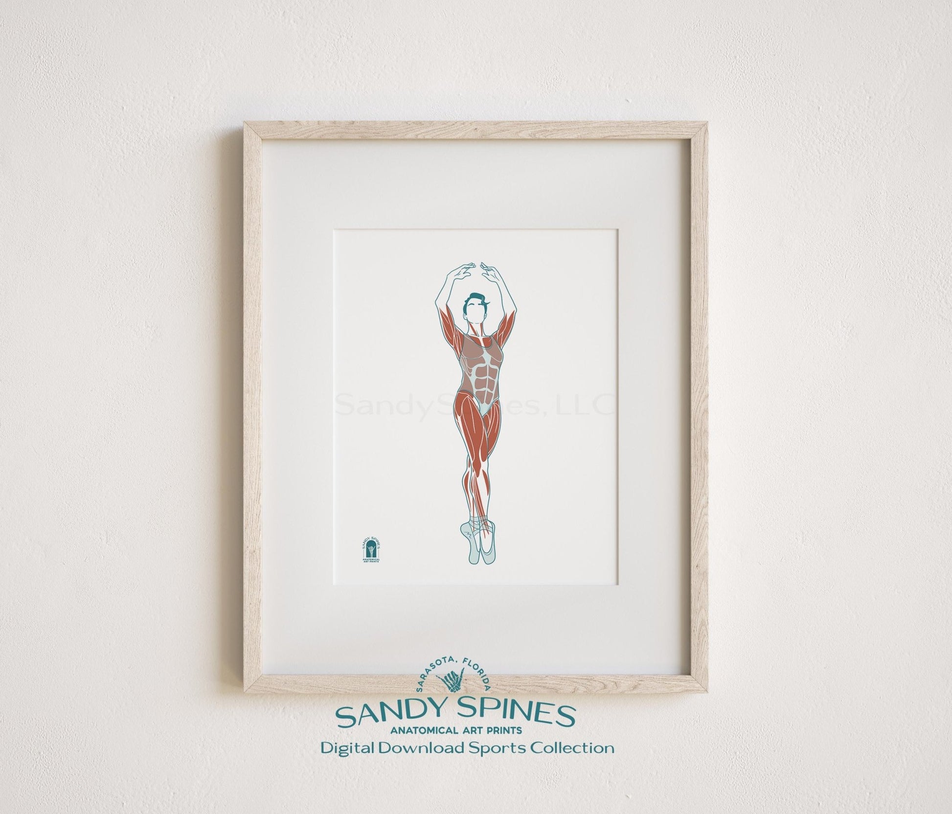Ballet Anatomy Art Print – Female Ballerina Sports Anatomy Download - SandySpines