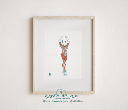 Ballet Anatomy Art Print – Female Ballerina Sports Anatomy Download - SandySpines