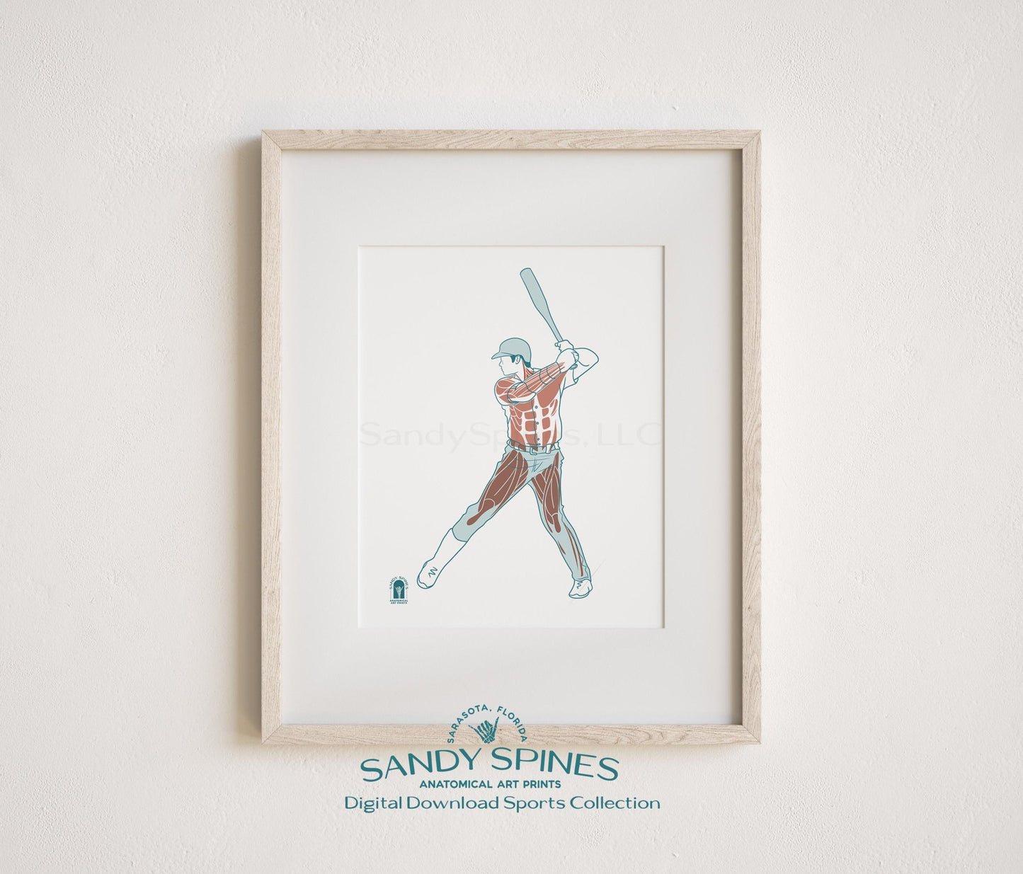 Baseball Anatomy Art Print – Male Athlete Sports Anatomy Download - SandySpines
