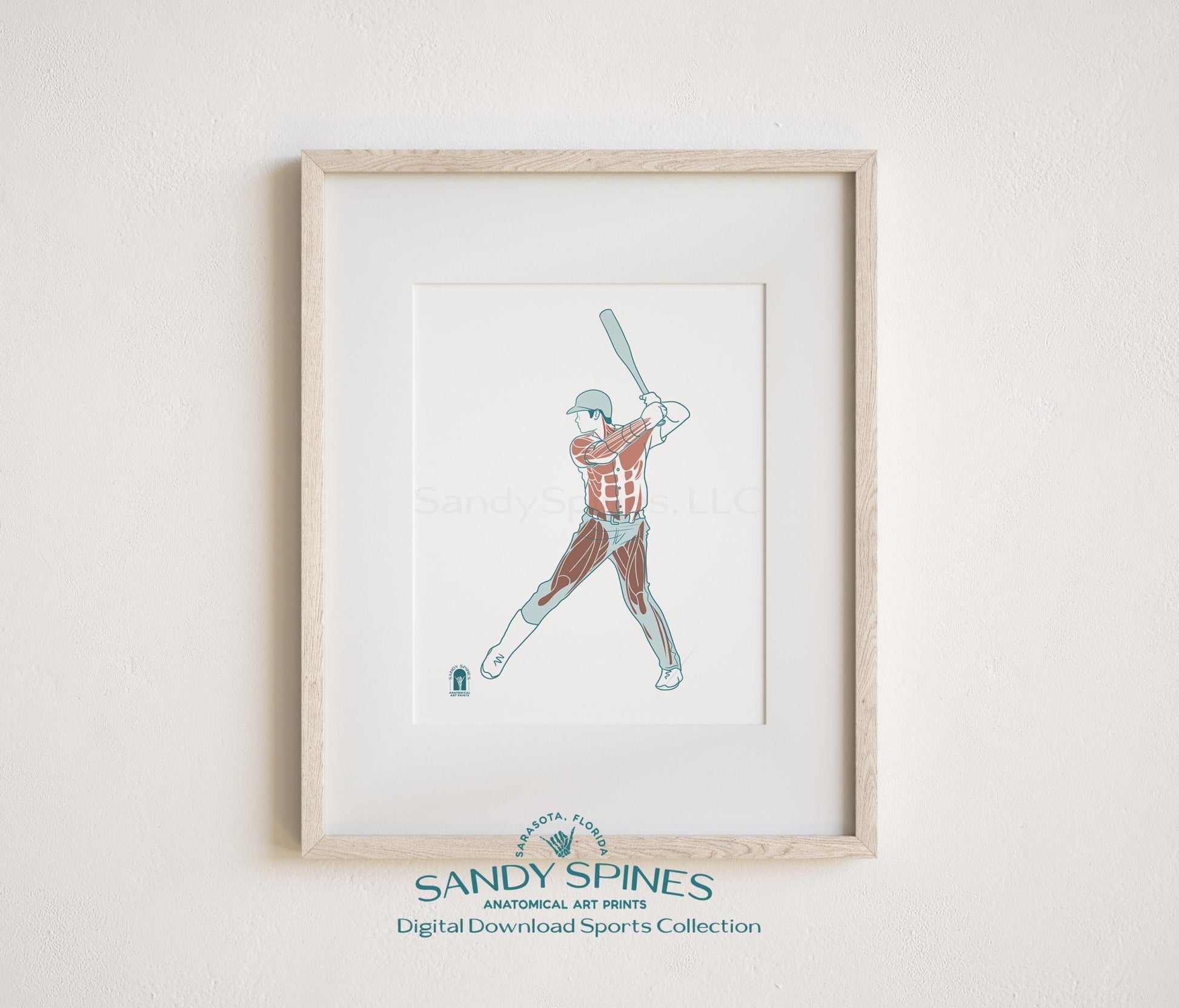 Baseball Anatomy Art Print – Male Athlete Sports Anatomy Download - SandySpines