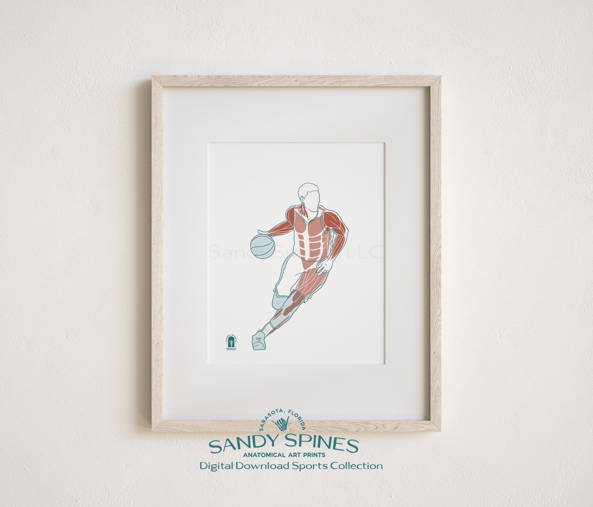 Basketball Anatomy Art Print – Sports Anatomy Digital Download - SandySpines