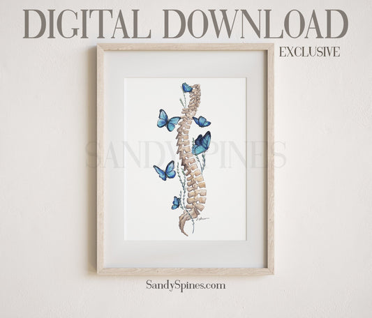 Blue Butterfly Spine | DIGITAL DOWNLOAD only - SandySpines