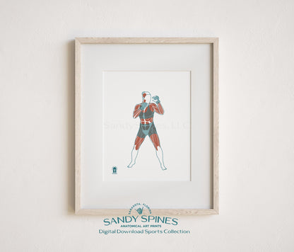 Boxing Anatomy Art Print – Sports Anatomy Digital Download - SandySpines