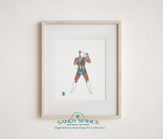 Boxing Anatomy Art Print – Sports Anatomy Digital Download - SandySpines