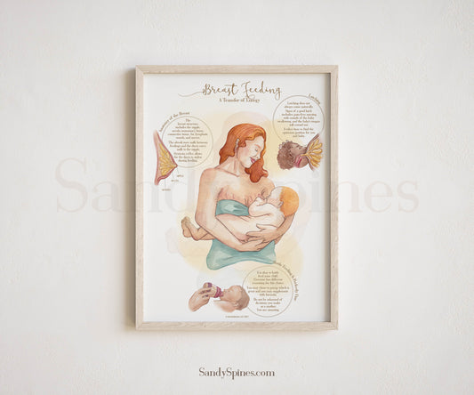 Breastfeeding Educational Poster