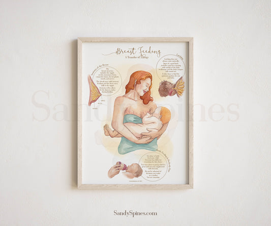 Breastfeeding Poster