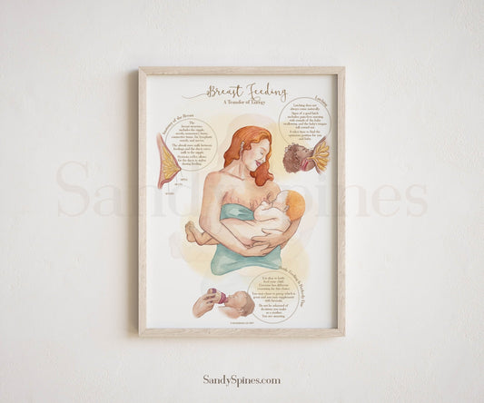 Breastfeeding Poster - SandySpines