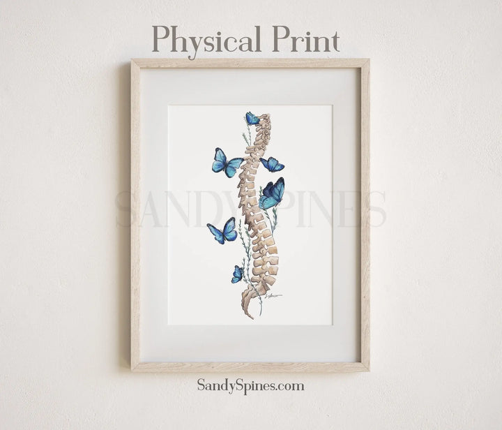 Anatomy Art Prints for Clinics & Offices | SandySpines