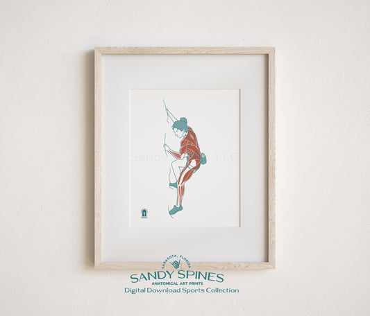 Anatomical illustration of a female rock climber reaching for a hold, sports anatomy art print by SandySpines
