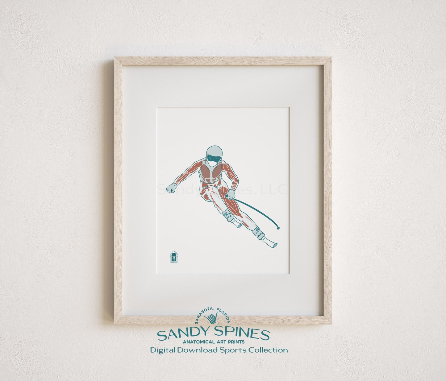 Downhill Skiing Anatomy Art Print – Female Skier Sports Anatomy Download - SandySpines