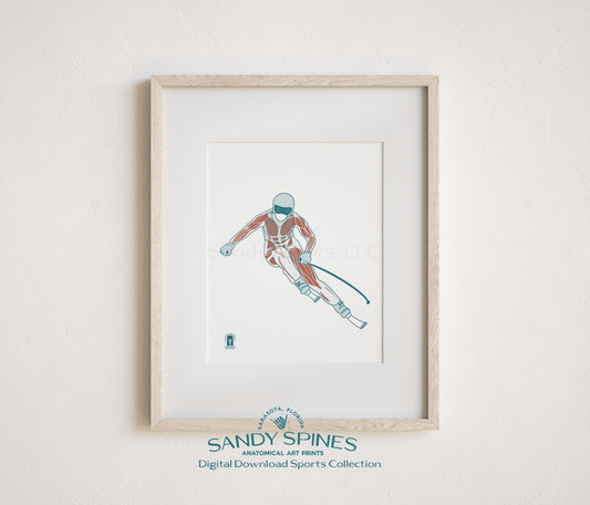Downhill Skiing Anatomy Art Print – Female Skier Sports Anatomy Download - SandySpines
