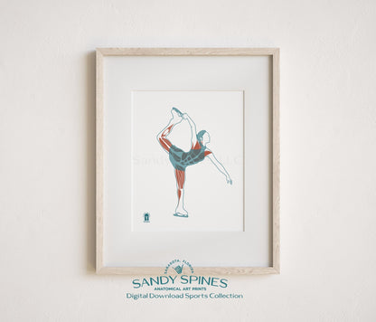 Figure Skating Anatomy Art Print – Female Ice Skater Sports Anatomy Download - SandySpines