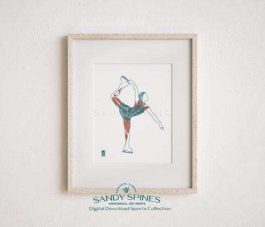 Figure Skating Anatomy Art Print – Female Ice Skater Sports Anatomy Download - SandySpines