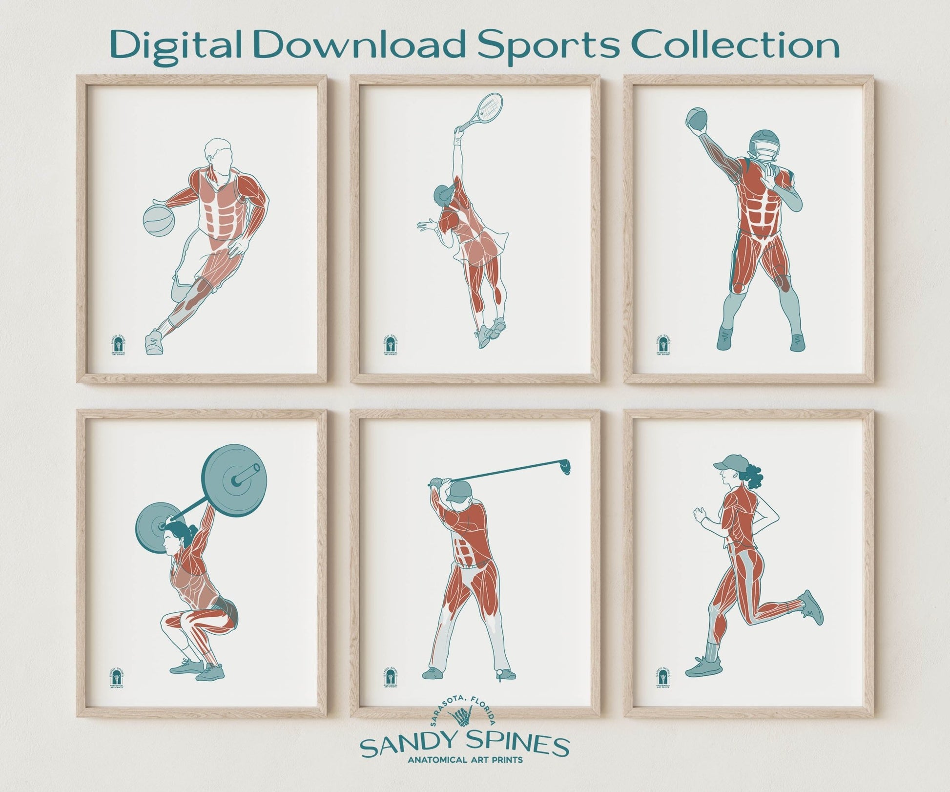 Fitness Anatomy Art Print – Female Lifter Sports Anatomy Download - SandySpines